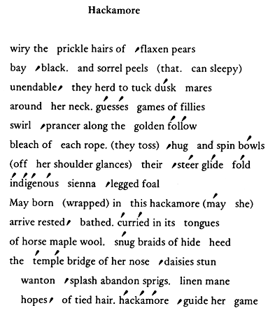 Image of Hackamore poem
