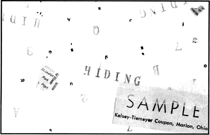 Blau DuPlessis collage of text fragments