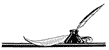 decorative quill illustration 